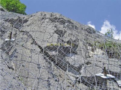 絞索網(wǎng)、蜘蛛網(wǎng)